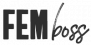 Gründungs.center Partner FEMboss Logo
